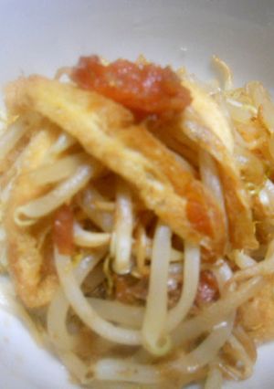安い!旨い!油揚げともやしと梅おかか和え-レシピのメイン写真