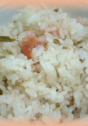 しらすと梅干入り炊き込みご飯-レシピのメイン写真