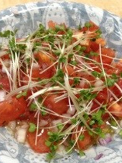 さっぱりトマトのイタリアンサラダ-レシピのメイン写真