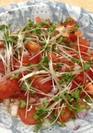 さっぱりトマトのイタリアンサラダ-レシピのメイン写真