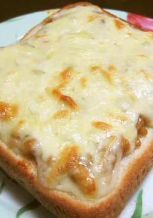 発酵健康ねばねばとろとろ食パン♪-レシピのメイン写真