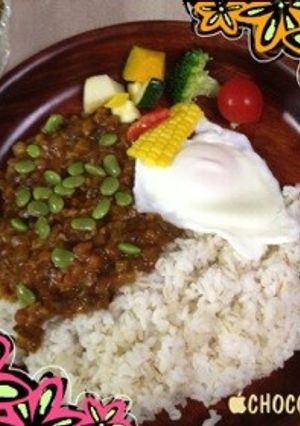 夏のカレー-レシピのメイン写真