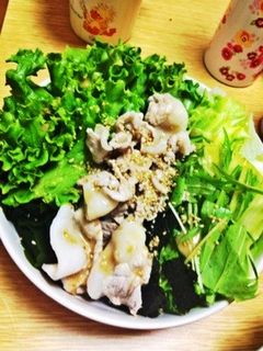 野菜たっぷり冷やし白胡麻うどん♡-レシピのメイン写真