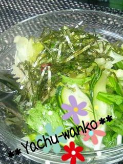 チョレギ風◇サラダ-レシピのメイン写真