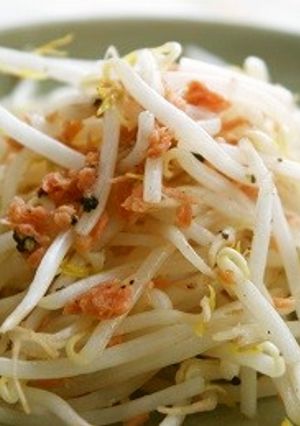 モヤシと鮭の酒蒸しナムル-レシピのメイン写真