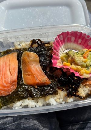タッパーのり弁-レシピのメイン写真