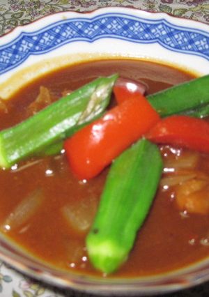 北海道スープカレー-レシピのメイン写真