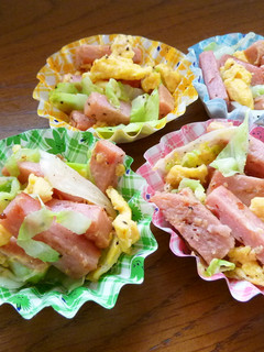 3色の彩り嬉しい♪SPAMのキャベ玉炒め-レシピのメイン写真