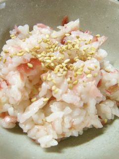 梅みょうが ご飯♪-レシピのメイン写真