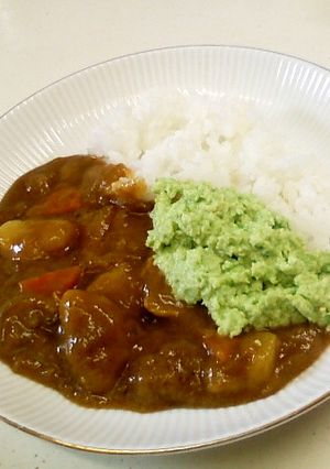 ずんだカレー-レシピのメイン写真