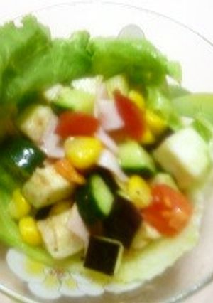 水ナスと夏野菜のコロコロサラダ-レシピのメイン写真