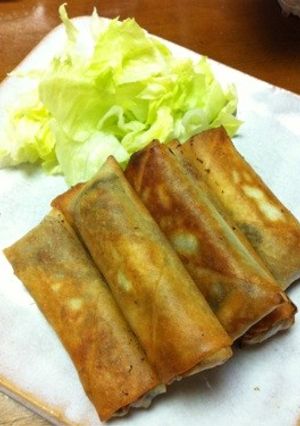 もやしいっぱい春巻き-レシピのメイン写真