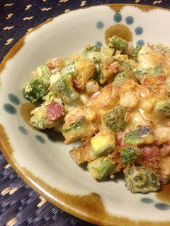 プレ農家めし◆ゴーヤとポークのかき揚げ-レシピのメイン写真