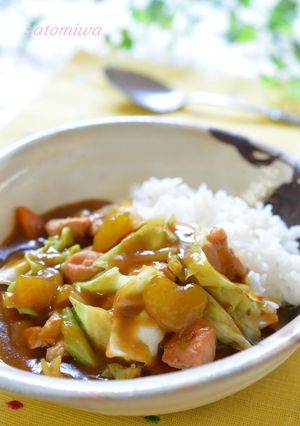 飛騨地方の南瓜&ケイちゃんでコク旨カレー-レシピのメイン写真