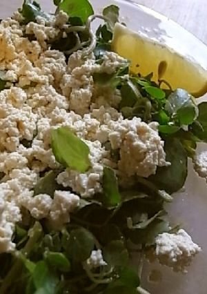 温豆腐とクレソンの塩オリーブオイルがけ-レシピのメイン写真