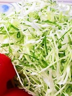 大葉も一緒に♪千切りキャベツ-レシピのメイン写真