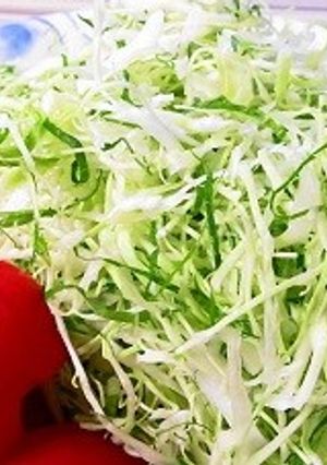 大葉も一緒に♪千切りキャベツ-レシピのメイン写真