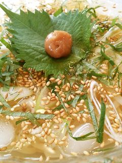 梅しそねぎの冷やしうどん♪-レシピのメイン写真