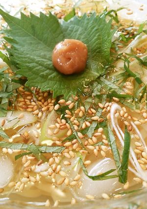 梅しそねぎの冷やしうどん♪-レシピのメイン写真