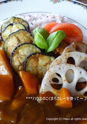 茄子と蓮根の「こくまろカレー」-レシピのメイン写真