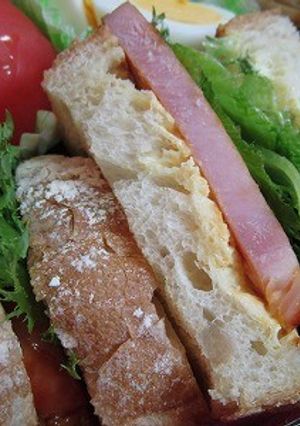 ハムステーキのサンド-レシピのメイン写真