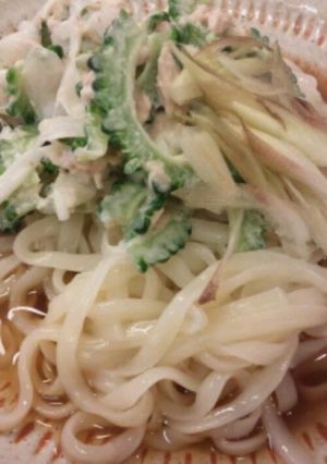 ゴーヤでサラダうどん♪-レシピのメイン写真
