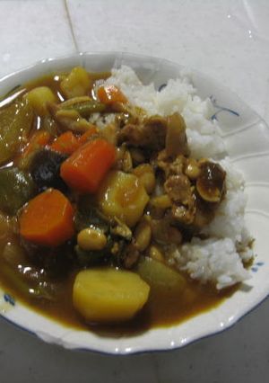 15種類の夏野菜カレー-レシピのメイン写真