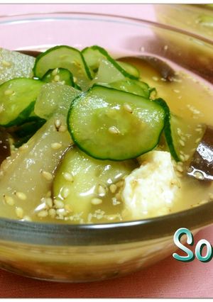 ✿夏におすすめ冬瓜と茄子の冷や汁✿-レシピのメイン写真