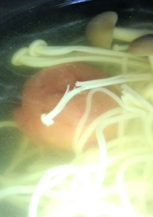 さっぱり梅そうめん-レシピのメイン写真