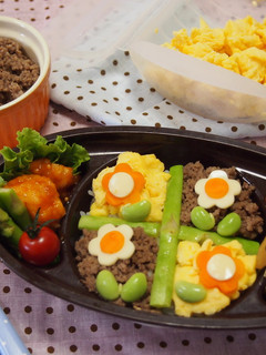 ルクエスチームケースで☆そぼろ弁当-レシピのメイン写真