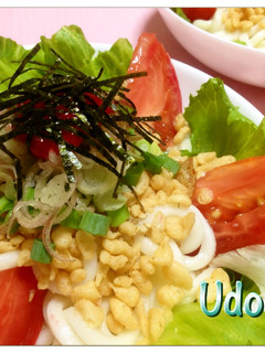 ✿ランチにも♡冷やし梅うどん✿-レシピのメイン写真