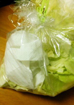 お手軽 葉野菜の水切り法-レシピのメイン写真