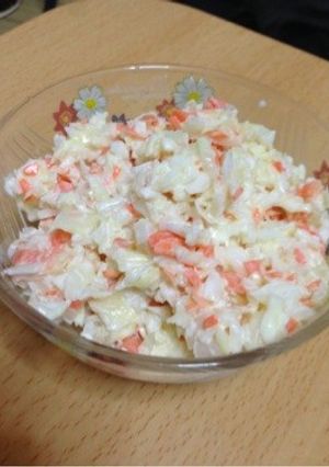 キャベツと余り野菜のコールスロー-レシピのメイン写真