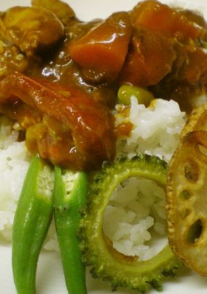 枝豆ごはんの夏野菜カレー-レシピのメイン写真