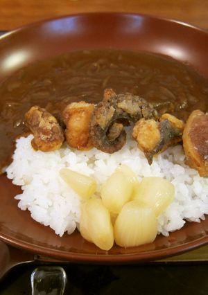 明石たこ唐揚げのっけ淡路玉ねぎカレー-レシピのメイン写真