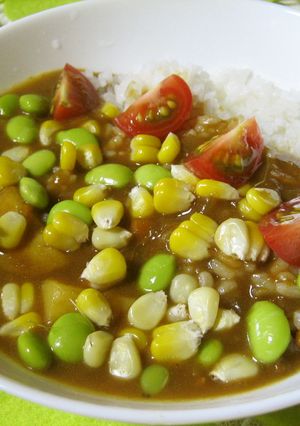 野菜たっぷり☆ヘルシーカレー-レシピのメイン写真