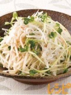 大根サラダ-レシピのメイン写真