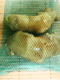 *生姜の保存法*-レシピのメイン写真