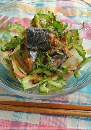 鯖 味噌煮缶使い切りサッパリ夏サラダ★-レシピのメイン写真