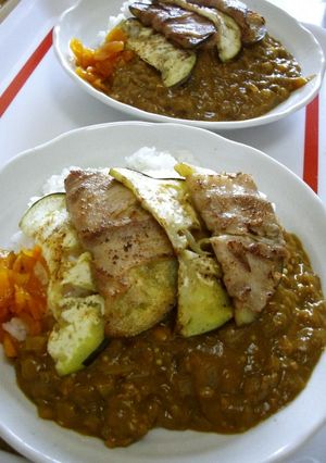 瀬戸内海のいりこと絹皮なすのカレー-レシピのメイン写真
