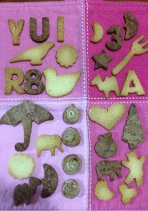簡単クッキー プレーン＆チョココア-レシピのメイン写真