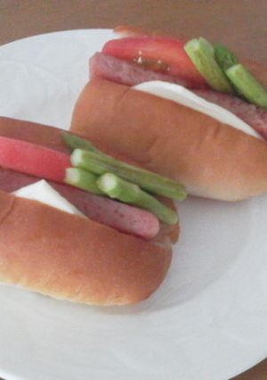スパムサンドでピクニックへ♪-レシピのメイン写真