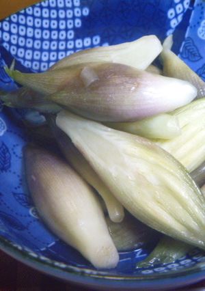 塩茗荷-レシピのメイン写真