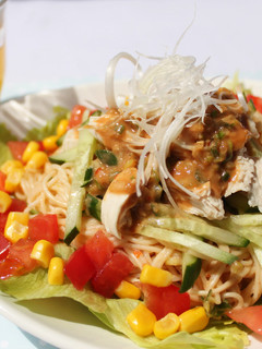 野菜たっぷりバンバンジーそうめん-レシピのメイン写真