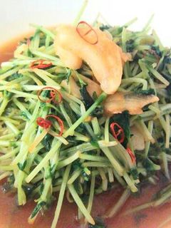 【簡単】豆苗のオイスターソース炒め-レシピのメイン写真