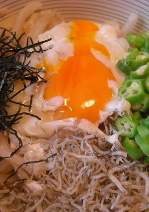 コンニャク麺入りヘルシーぶっかけうどん-レシピのメイン写真