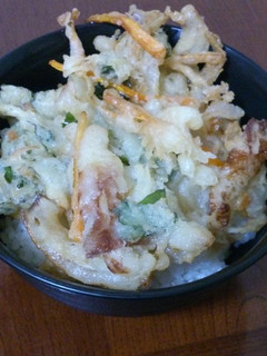 残り野菜たちで簡単かき揚げ丼-レシピのメイン写真