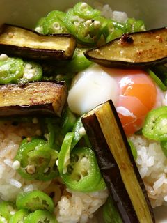 夏野菜のスタミナ丼(究極の卵かけご飯)-レシピのメイン写真