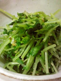 豆苗の塩麹ごま和え-レシピのメイン写真