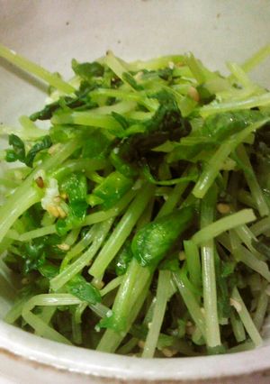 豆苗の塩麹ごま和え-レシピのメイン写真